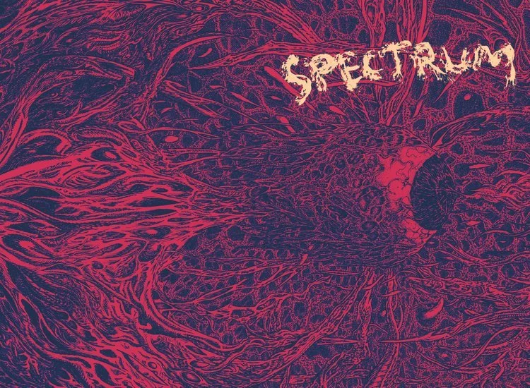 A pink and purple art piece reminiscent of blood vessels, neuronal structures, or galactic filament structures with the word Spectrum in patchy font in the top right corner.